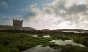 Morocco 2026: The Ultimate & Unforgettable Travel Adventure You Don’t Want to Miss